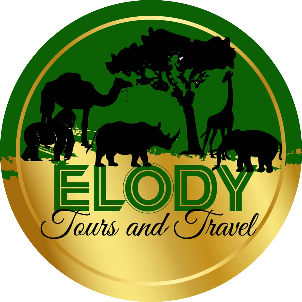 Elody Tour and Travel